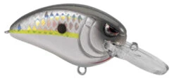 SPRO Little John MD 50 Type R Medium Diving Crankbait -Vis en Kleding Shop 39332415307865