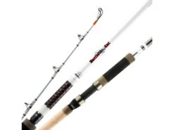 Okuma Battle Cat Catfish Spinning Rod 2-piece 5 Okuma Battle Cat Catfish Spinning Rod 2-piece -Vis en Kleding Shop 39701683798105