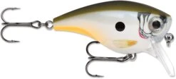 Rapala BX Mid-Brat 05 Squarebill Crankbait -Vis en Kleding Shop 39740178169945