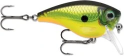 Rapala BX Mid-Brat 05 Squarebill Crankbait -Vis en Kleding Shop 39740178301017
