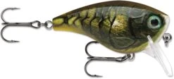 Rapala BX Mid-Brat 05 Squarebill Crankbait -Vis en Kleding Shop 39740178366553