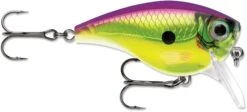 Rapala BX Mid-Brat 05 Squarebill Crankbait -Vis en Kleding Shop 39740178432089