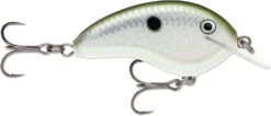 Rapala OG Tiny 04 Shallow Diving Crankbait 28 Rapala OG Tiny 04 Shallow Diving Crankbait -Vis en Kleding Shop 39756566102105