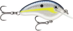 Rapala OG Tiny 04 Shallow Diving Crankbait 29 Rapala OG Tiny 04 Shallow Diving Crankbait -Vis en Kleding Shop 39756566134873