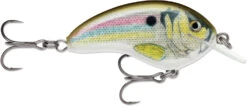 Rapala OG Tiny 04 Shallow Diving Crankbait 31 Rapala OG Tiny 04 Shallow Diving Crankbait -Vis en Kleding Shop 39756566200409