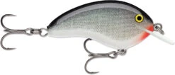 Rapala OG Tiny 04 Shallow Diving Crankbait 37 Rapala OG Tiny 04 Shallow Diving Crankbait -Vis en Kleding Shop 39756566397017