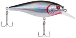 Berkley Flicker Shad Shallow Crankbait -Vis en Kleding Shop 39767092854873