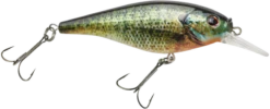 Berkley Flicker Shad Shallow Crankbait -Vis en Kleding Shop 39767092953177