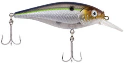 Berkley Flicker Shad Shallow Crankbait -Vis en Kleding Shop 39767093018713
