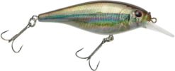 Berkley Flicker Shad Shallow Crankbait -Vis en Kleding Shop 39767093248089
