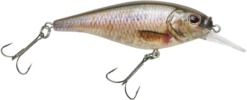 Berkley Flicker Shad Shallow Crankbait -Vis en Kleding Shop 39767093346393