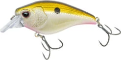 Nomad Design Atlas Squarebill Crankbait -Vis en Kleding Shop 39840471908441