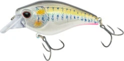 Nomad Design Atlas Squarebill Crankbait -Vis en Kleding Shop 39840471973977