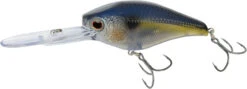Nomad Design D-Trak Freshwater Extra Deep Diving Crankbait -Vis en Kleding Shop 39840486424665