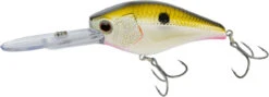 Nomad Design D-Trak Freshwater Extra Deep Diving Crankbait -Vis en Kleding Shop 39840486621273