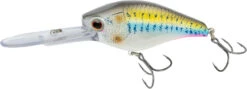 Nomad Design D-Trak Freshwater Extra Deep Diving Crankbait -Vis en Kleding Shop 39840486686809