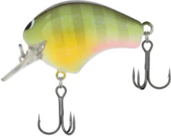 Shimano Macbeth 50F Hybrid Square Bill Crankbait