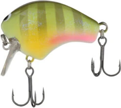 Shimano Macbeth Shallow 50S Hybrid Edge Round Bill Crankbait -Vis en Kleding Shop 40094941118553