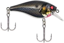 Berkley SquareBull 2 Inch Shallow Squarebill Crankbait -Vis en Kleding Shop 40319505465433
