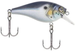 Berkley SquareBull 2 Inch Shallow Squarebill Crankbait -Vis en Kleding Shop 40319505498201