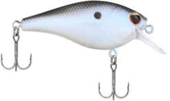 Berkley SquareBull 2 Inch Shallow Squarebill Crankbait -Vis en Kleding Shop 40319505530969