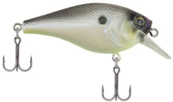 Berkley SquareBull 2 Inch Shallow Squarebill Crankbait -Vis en Kleding Shop 40319505563737
