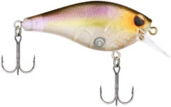 Berkley SquareBull 2 Inch Shallow Squarebill Crankbait -Vis en Kleding Shop 40319505629273