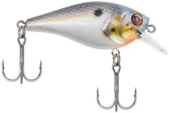 Berkley SquareBull 2 Inch Shallow Squarebill Crankbait -Vis en Kleding Shop 40319505760345