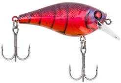 Berkley SquareBull 2 Inch Shallow Squarebill Crankbait -Vis en Kleding Shop 40319505793113