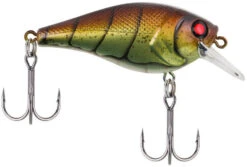 Berkley SquareBull 2 Inch Shallow Squarebill Crankbait -Vis en Kleding Shop 40319505858649
