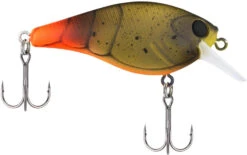 Berkley SquareBull 2 3/4 Inch Shallow Squarebill Crankbait -Vis en Kleding Shop 40319508185177