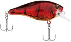Berkley SquareBull 2 3/4 Inch Shallow Squarebill Crankbait -Vis en Kleding Shop 40319508250713