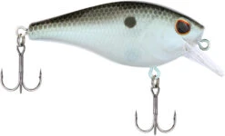 Berkley SquareBull 2 3/4 Inch Shallow Squarebill Crankbait -Vis en Kleding Shop 40319508316249
