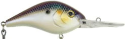 Berkley Dredger Deep Diving Crankbait Deeper Diving Models -Vis en Kleding Shop 40325002985561