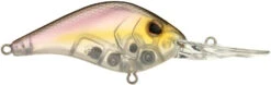 Berkley Dredger Deep Diving Crankbait Deeper Diving Models -Vis en Kleding Shop 40325003182169