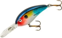 Bomber Fat Free Shad Fingerling 2 3/8 Inch Medium Diving Crankbait -Vis en Kleding Shop BD5FDTFS d704ed97 311b 4dde 8f72 04e5052dd1a3