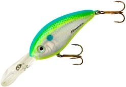 Bomber Fat Free Shad Jr. 2 1/2 Inch Deep Diving Crankbait -Vis en Kleding Shop BD6FDCS 83088113 254c 4c5e 910e d81badffad4e