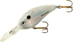 Bomber Fat Free Shad Jr. 2 1/2 Inch Deep Diving Crankbait -Vis en Kleding Shop BD6FDPW