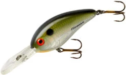 Bomber Fat Free Shad Jr. 2 1/2 Inch Deep Diving Crankbait -Vis en Kleding Shop BD6FDTS