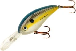 Bomber Fat Free Shad Jr. 2 1/2 Inch Deep Diving Crankbait -Vis en Kleding Shop BD6FFS
