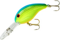 Bandit 300 Series Deep Diving Crankbait -Vis en Kleding Shop BDT336