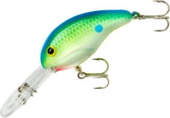 Bandit 300 Series Deep Diving Crankbait -Vis en Kleding Shop BDT3D01
