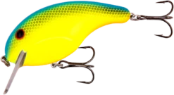 Bandit Rackit 2 3/4 Inch Squarebill Crankbait -Vis en Kleding Shop BDTRK336