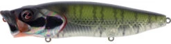 River2Sea Bubble Walker 128 Topwater Walker/Popper -Vis en Kleding Shop BubbleWalker28Bluegill 911da67d d671 4ab7 8c0d 8c31d5a84982