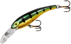 Cotton Cordell Wally Diver Crankbait -Vis en Kleding Shop CD695