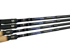 Dobyns Champion XP Casting Crankbait Rods 11 Dobyns Champion XP Casting Crankbait Rods -Vis en Kleding Shop ChampXP4inarow