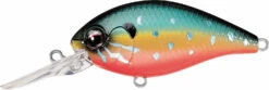 Evergreen International CR-8 Medium Diving Crankbait