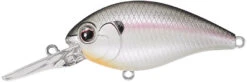 Evergreen International CR-8 Medium Diving Crankbait -Vis en Kleding Shop Evergreen CR 362 b8321212 23bd 48d7 ad2c 94ab456e7add