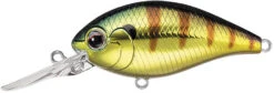 Evergreen International CR-8 Medium Diving Crankbait -Vis en Kleding Shop Evergreen CR 374 12d98afc f003 4140 9581 cd468e71f612