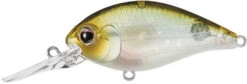 Evergreen International CR-8 Medium Diving Crankbait -Vis en Kleding Shop Evergreen CR 420 77d2a30f 06a8 4b3a 9311 731ac643c662
